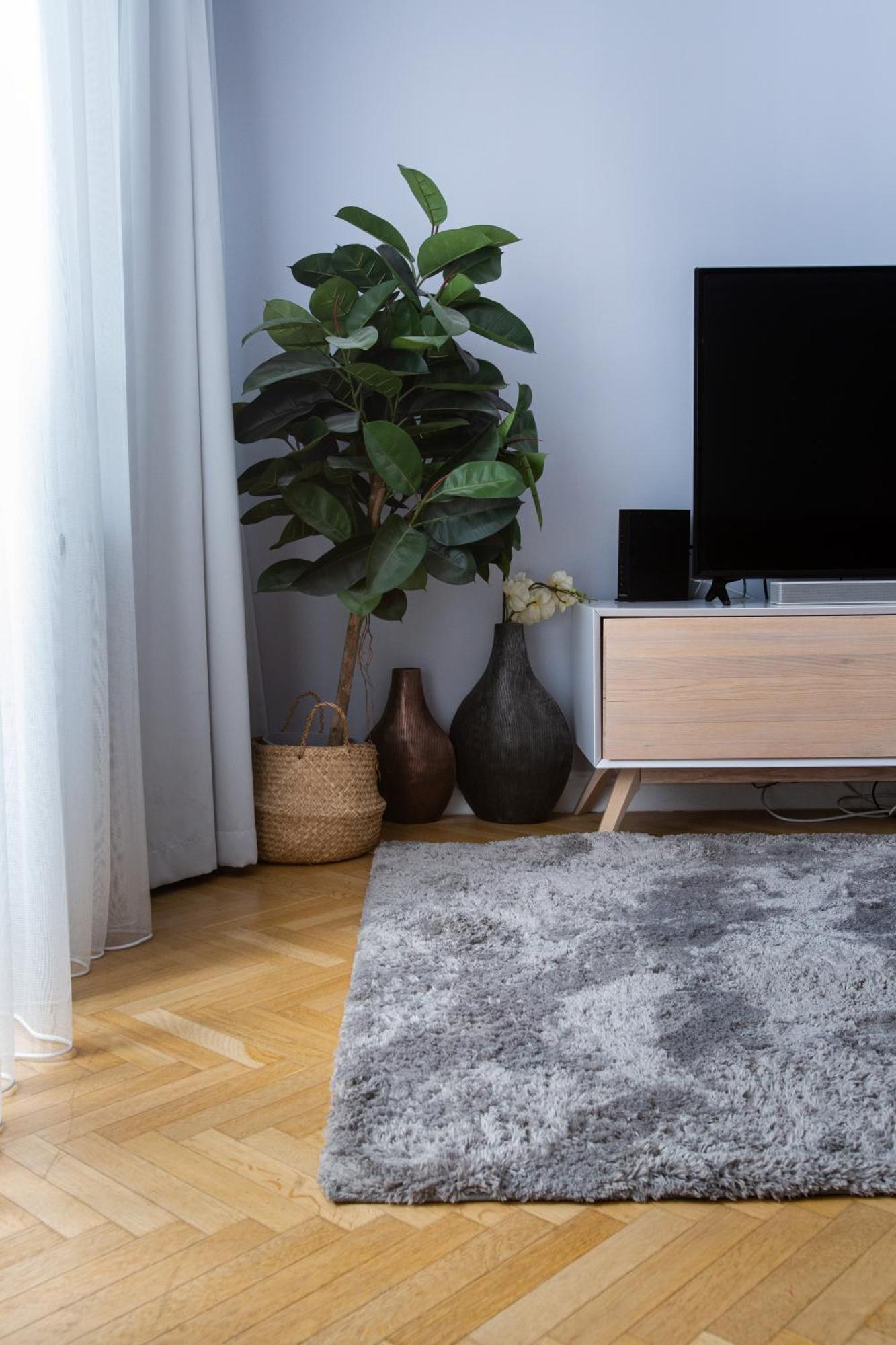 Apartment Danube